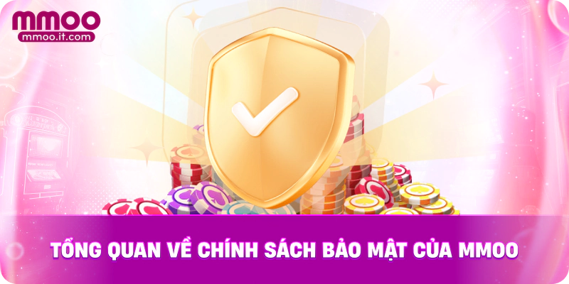 Tổng quan về chính sách bảo mật của MMOO